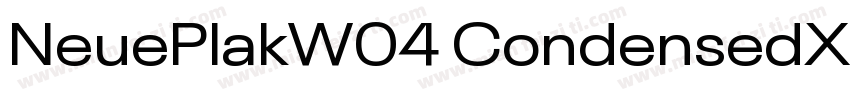 NeuePlakW04 CondensedXBlack Regular字体转换